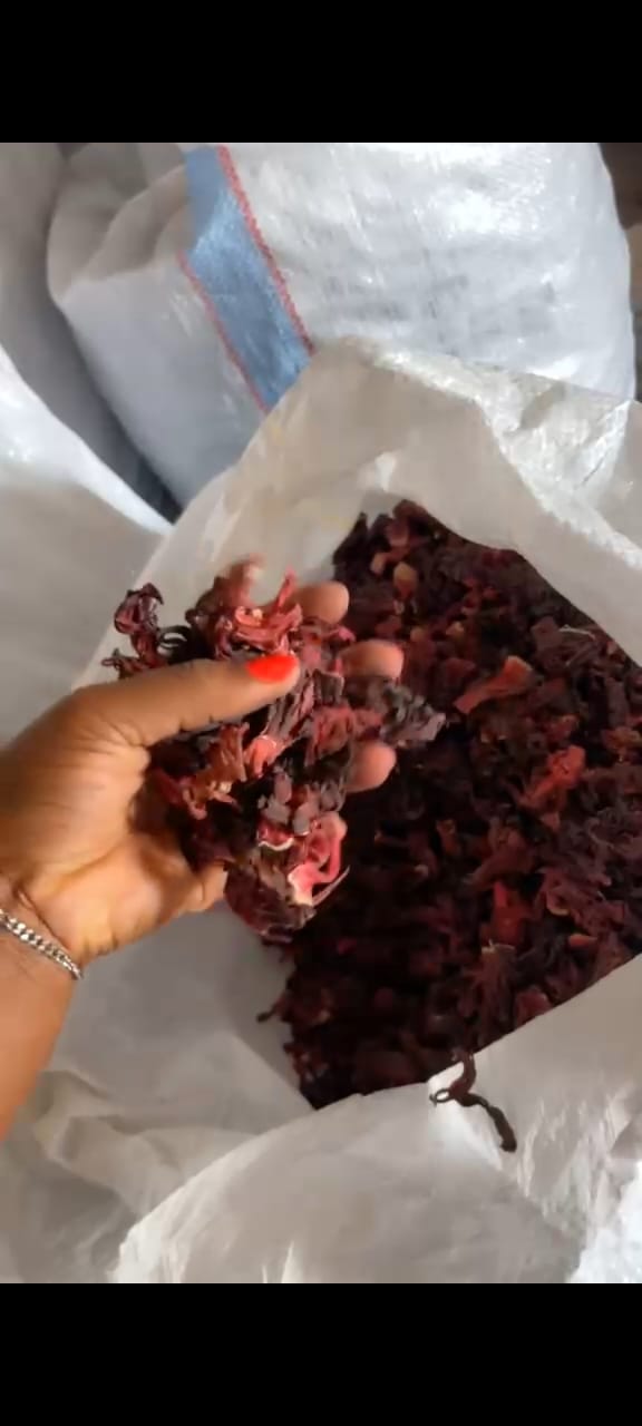 Dried hibiscus flowers being scooped from an export-grade woven sack
